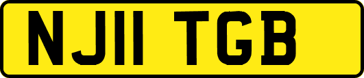 NJ11TGB