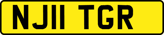 NJ11TGR