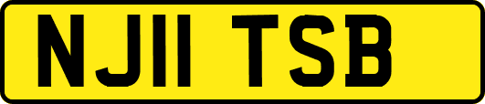 NJ11TSB