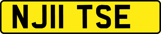 NJ11TSE