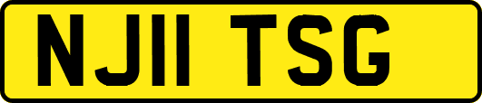 NJ11TSG