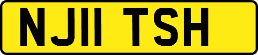 NJ11TSH