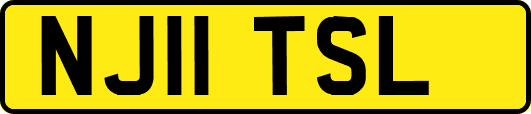 NJ11TSL