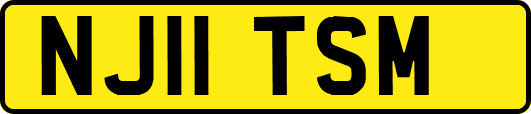 NJ11TSM