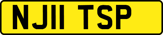 NJ11TSP