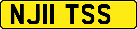 NJ11TSS