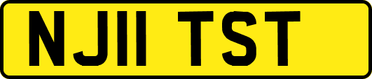 NJ11TST