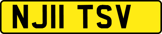 NJ11TSV