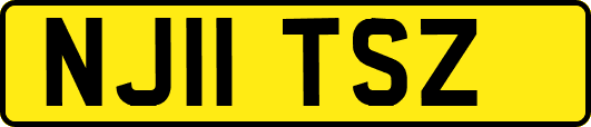 NJ11TSZ