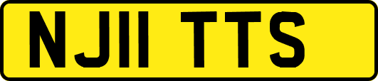 NJ11TTS