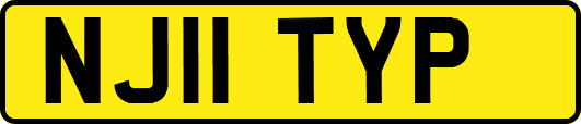 NJ11TYP