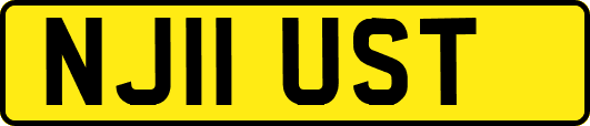 NJ11UST