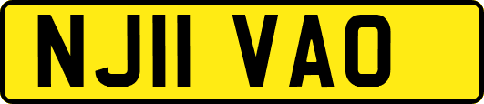 NJ11VAO