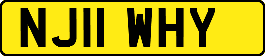 NJ11WHY