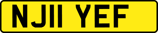 NJ11YEF