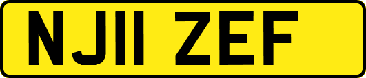 NJ11ZEF