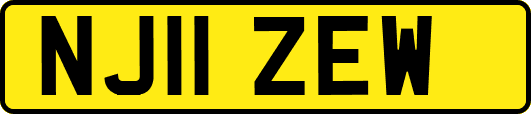 NJ11ZEW