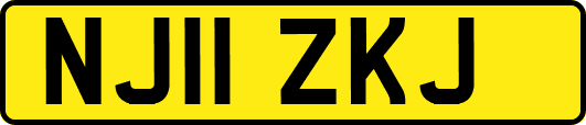 NJ11ZKJ
