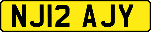 NJ12AJY
