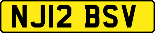 NJ12BSV