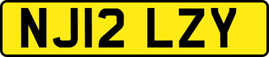 NJ12LZY