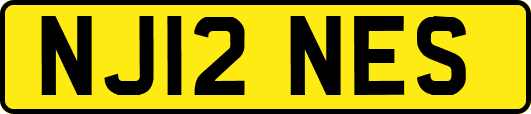 NJ12NES
