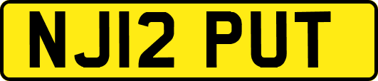 NJ12PUT