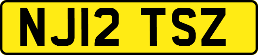 NJ12TSZ