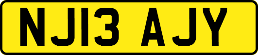 NJ13AJY
