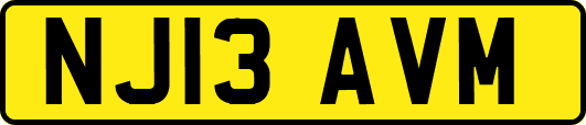 NJ13AVM