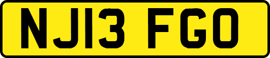 NJ13FGO