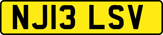 NJ13LSV