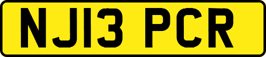 NJ13PCR