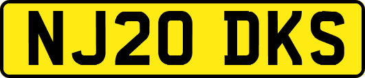 NJ20DKS