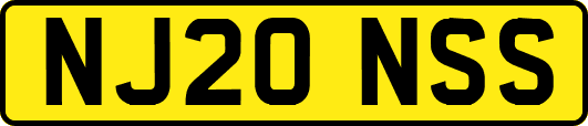 NJ20NSS