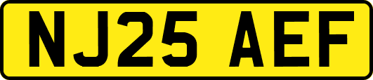 NJ25AEF