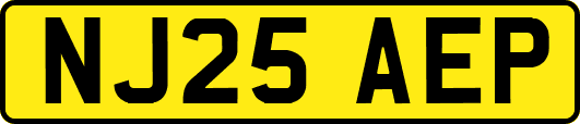 NJ25AEP