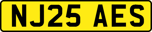 NJ25AES