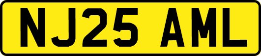 NJ25AML