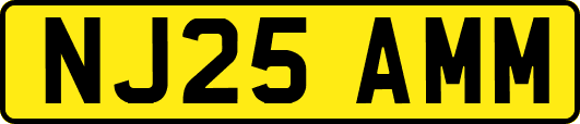 NJ25AMM