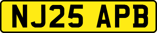 NJ25APB
