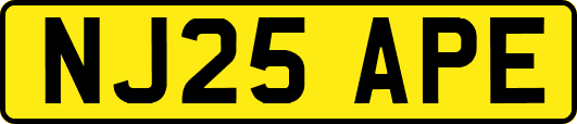 NJ25APE