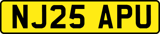 NJ25APU