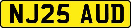 NJ25AUD