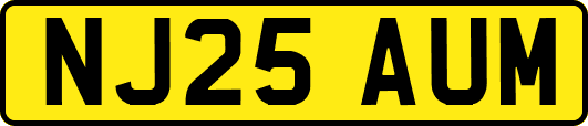 NJ25AUM