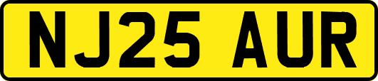 NJ25AUR