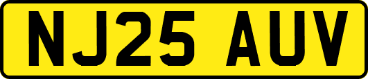 NJ25AUV