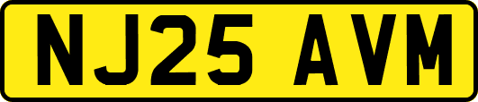 NJ25AVM