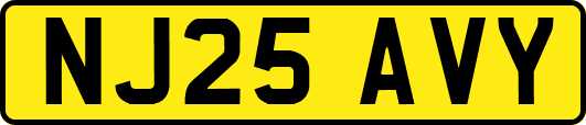 NJ25AVY