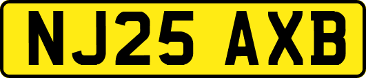 NJ25AXB